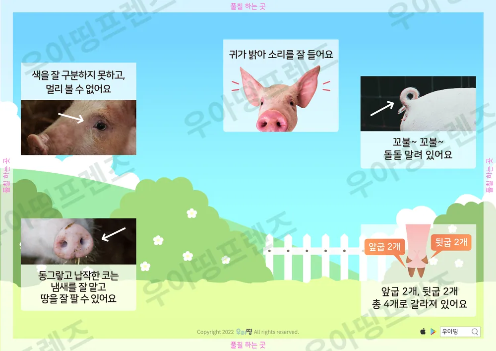 3쪽