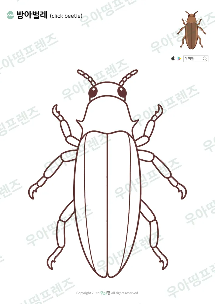 방아벌레 색칠공부 도안