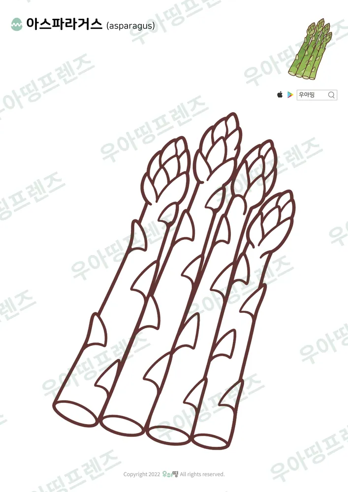 아스파라거스 색칠공부 도안