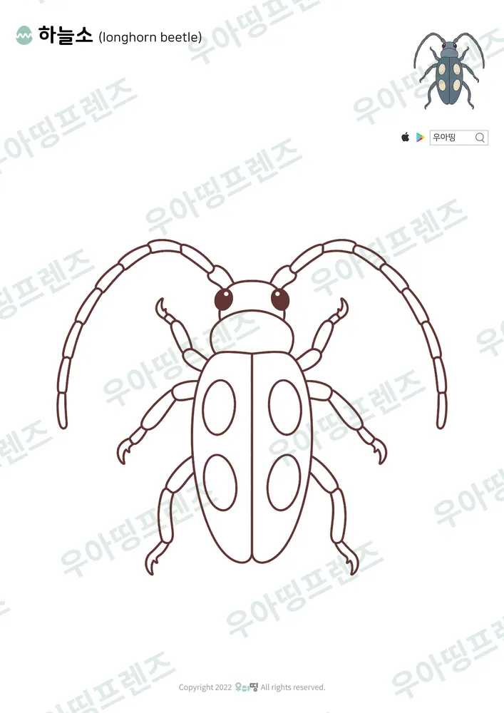 하늘소 색칠공부 도안