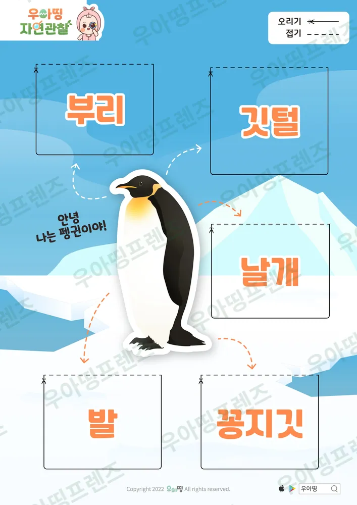 펭귄 자연관찰 워크북 도안 2쪽