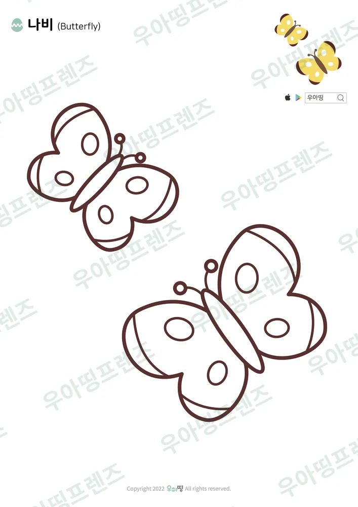 나비 색칠공부 도안 미리보기