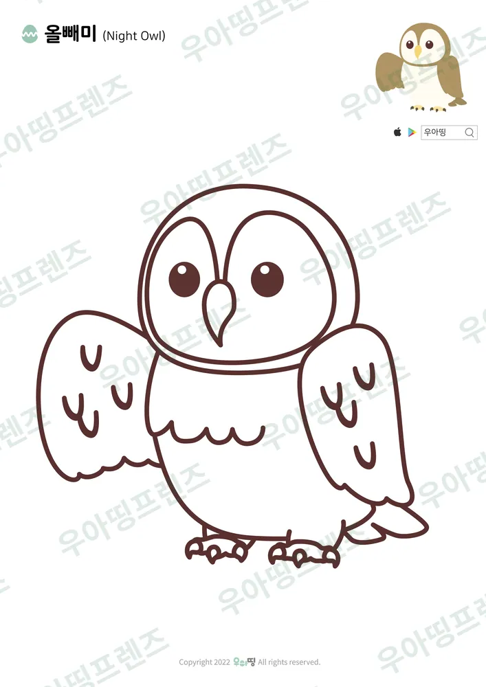올빼미 색칠공부 도안 미리보기