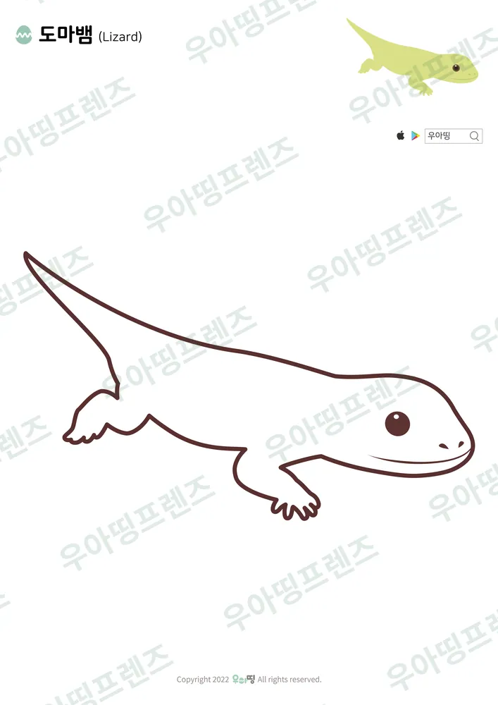 도마뱀 색칠공부 도안 미리보기