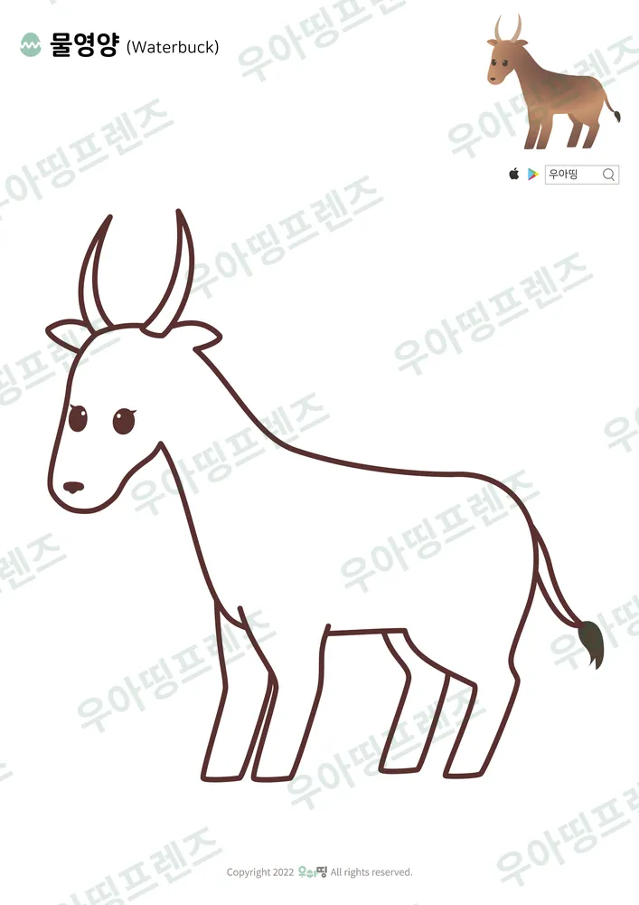 물영양 색칠공부 도안 미리보기