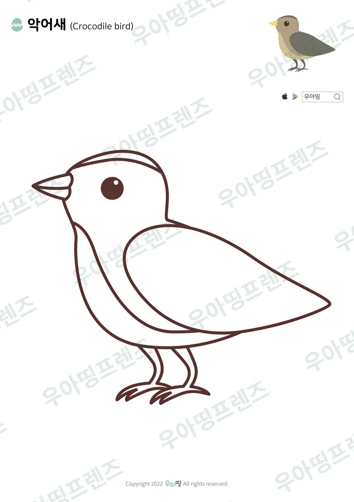 악어새 색칠공부 도안 미리보기