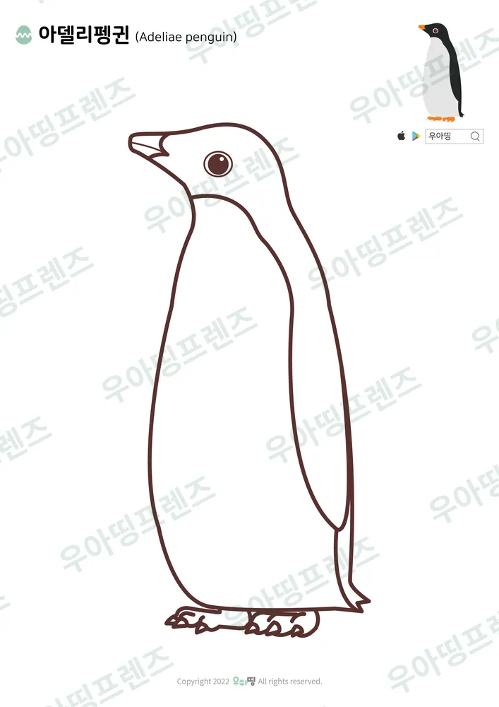 아델리펭귄 색칠공부 도안 미리보기