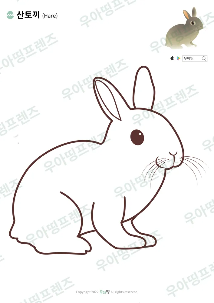 산토끼 색칠공부 미리보기