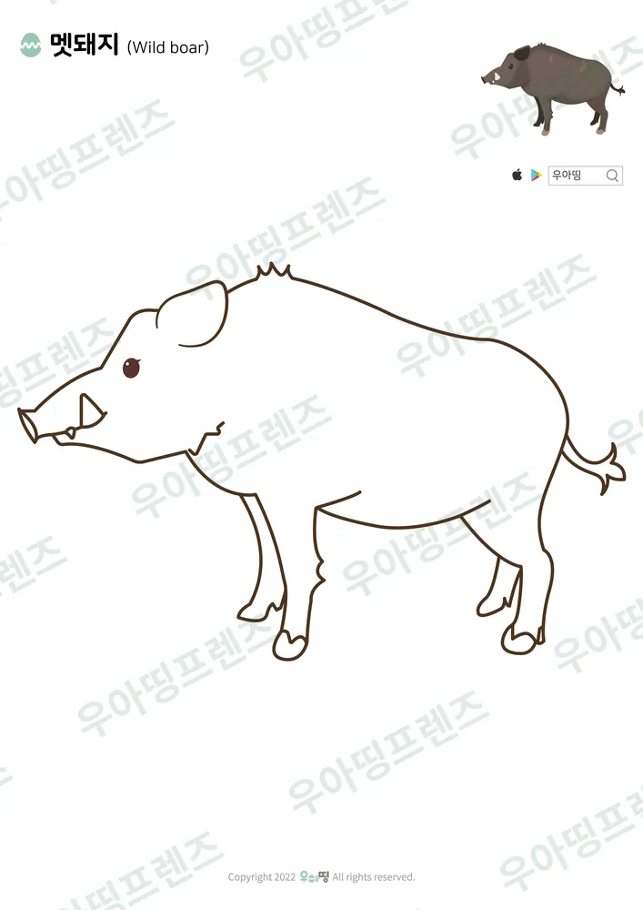 멧돼지 색칠공부 미리보기