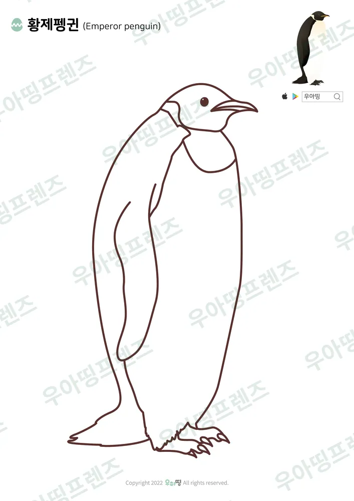 황제펭귄 색칠공부 도안 미리보기