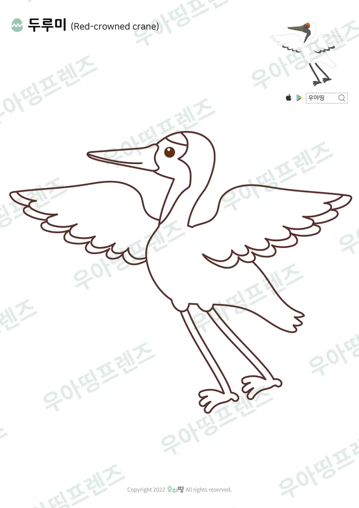 두루미 색칠공부 도안 미리보기