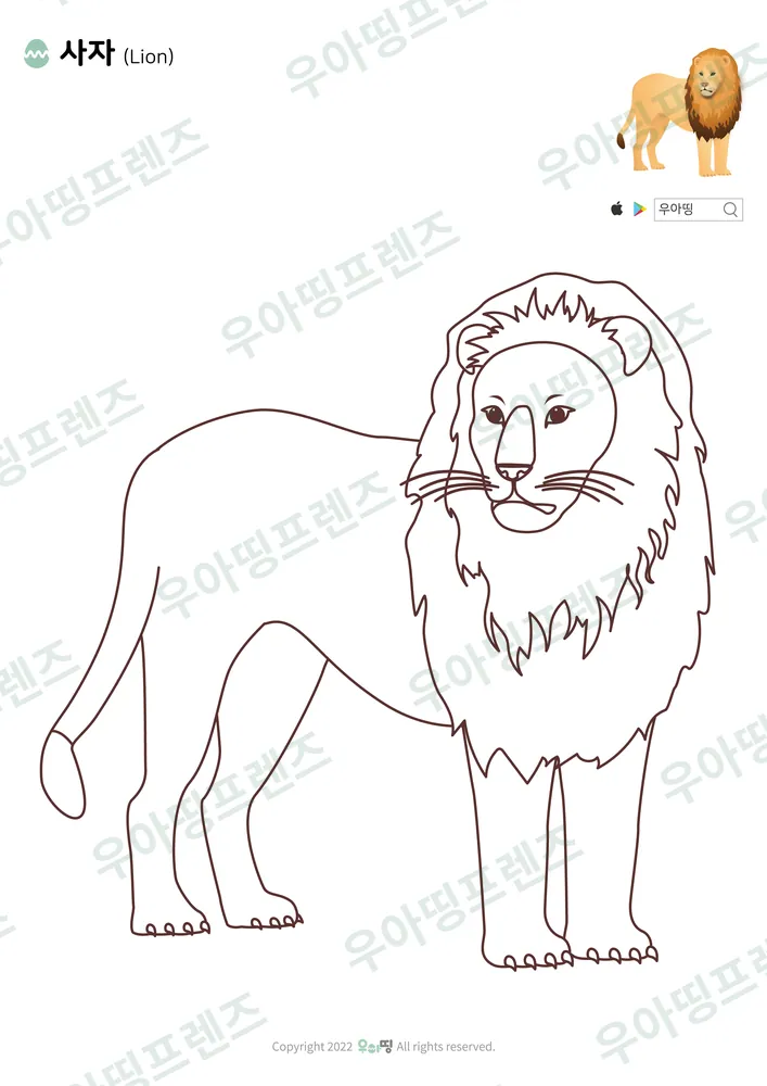 갈기 수사자 색칠공부 도안 미리보기