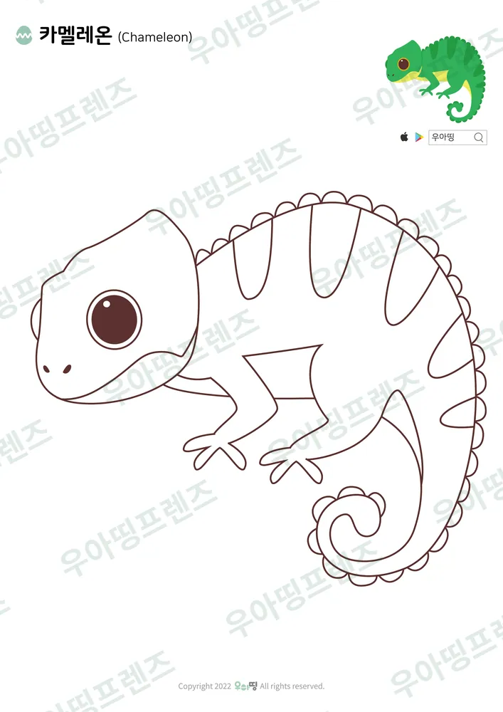 카멜레온 색칠공부 도안 미리보기