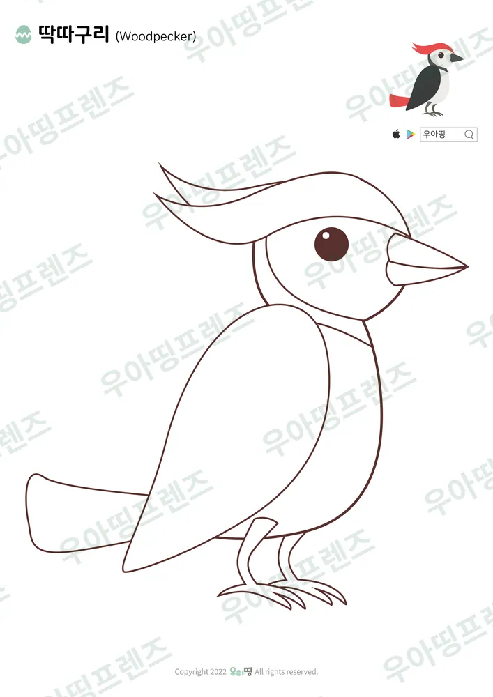 딱따구리 색칠공부 도안 미리보기