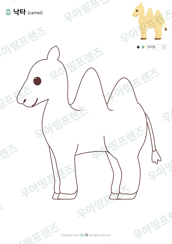 낙타 색칠공부 도안 미리보기