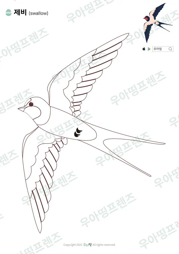 제비 색칠공부 도안 미리보기