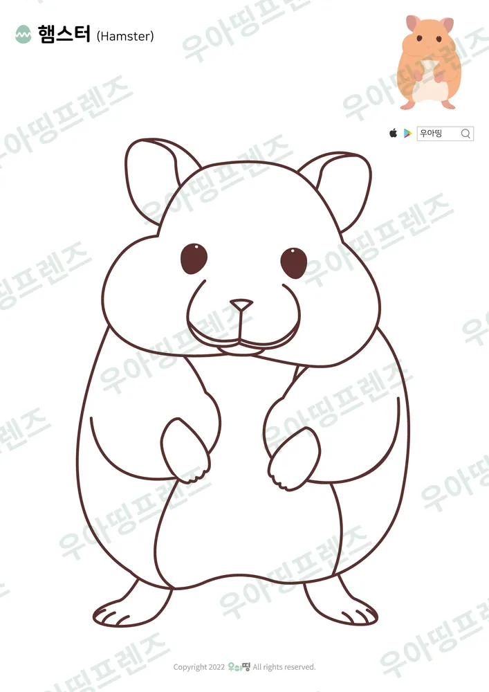 햄스터 색칠공부 도안 미리보기
