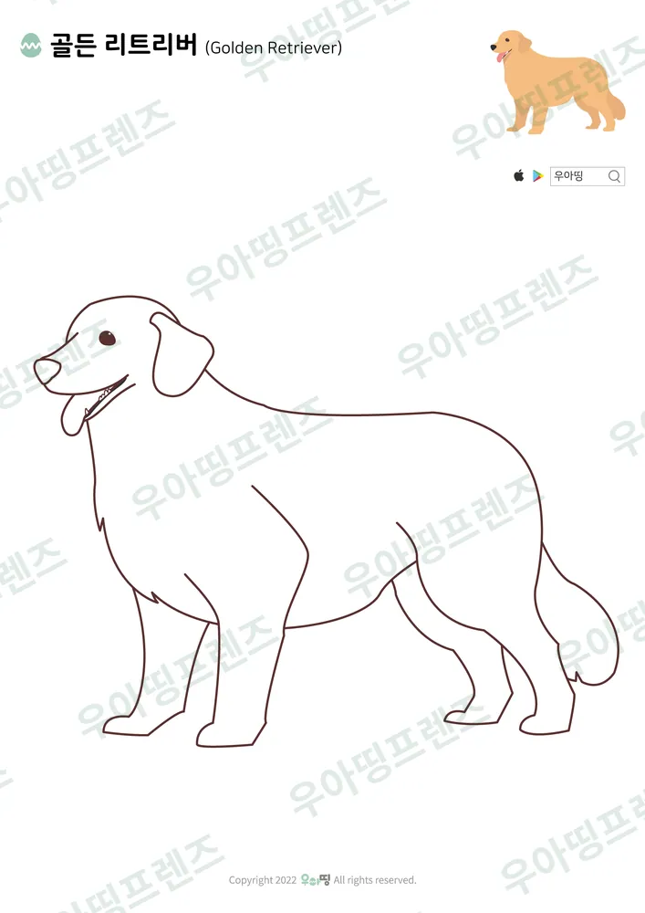 골든 리트리버 색칠공부 도안 미리보기