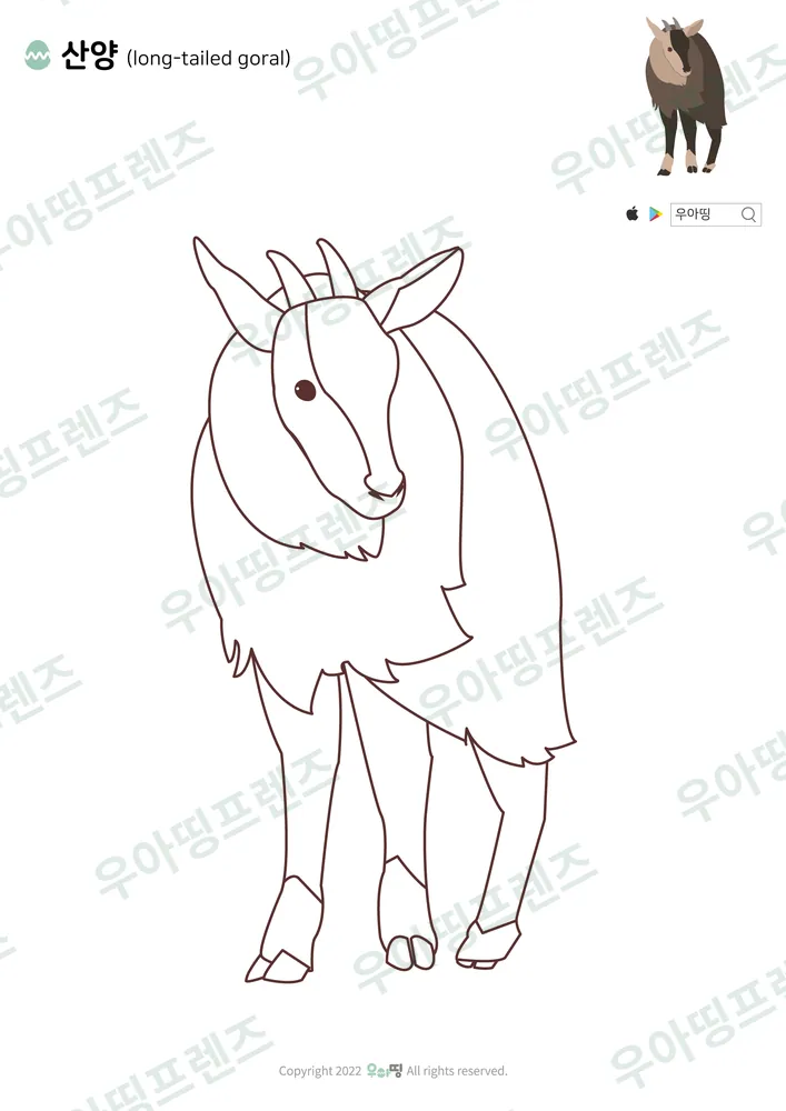 산양 색칠공부 도안 미리보기