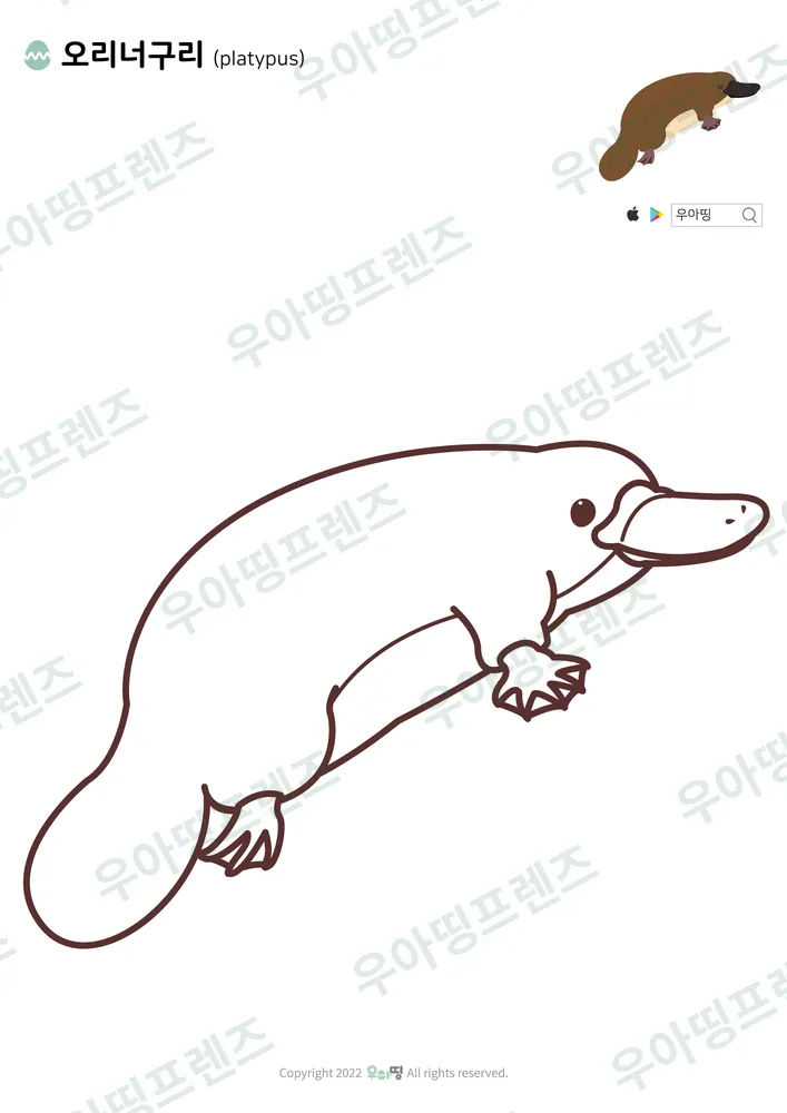 오리너구리 색칠공부 도안 미리보기