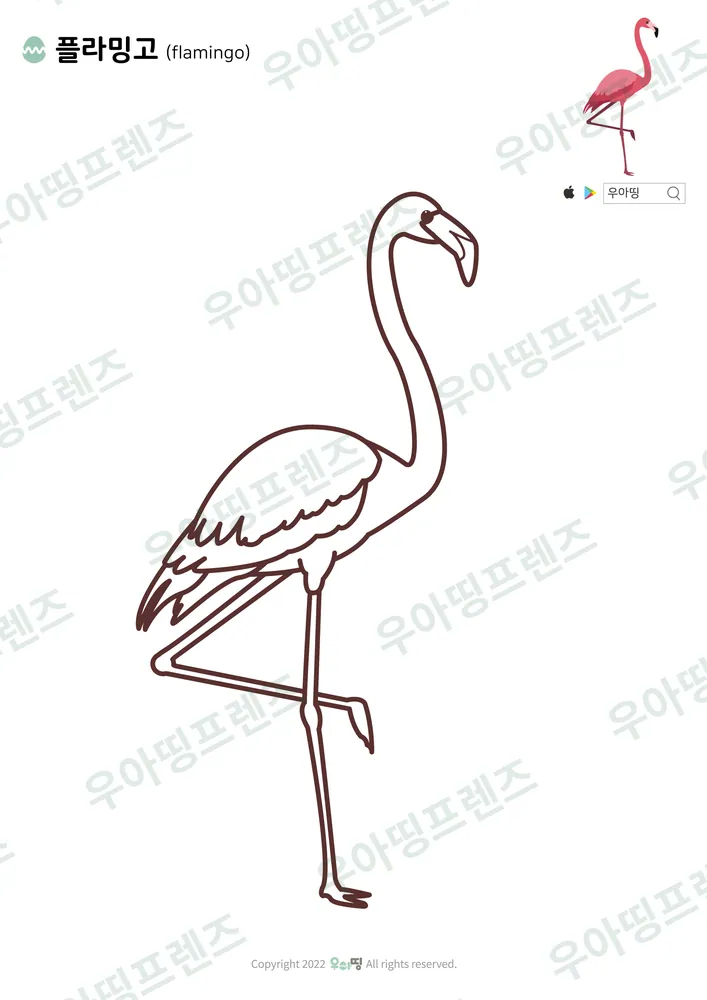 플라밍고 색칠공부 도안 미리보기