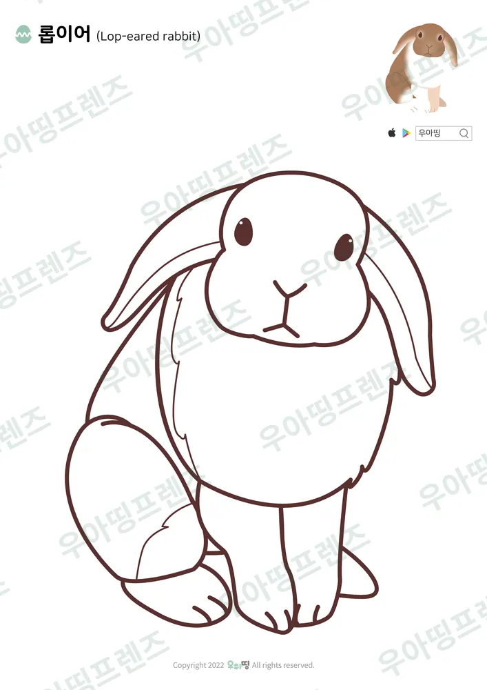 롭이어 토끼 색칠공부 도안 미리보기