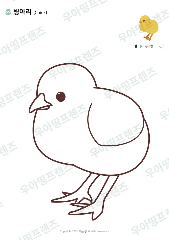 병아리 색칠공부 도안 미리보기