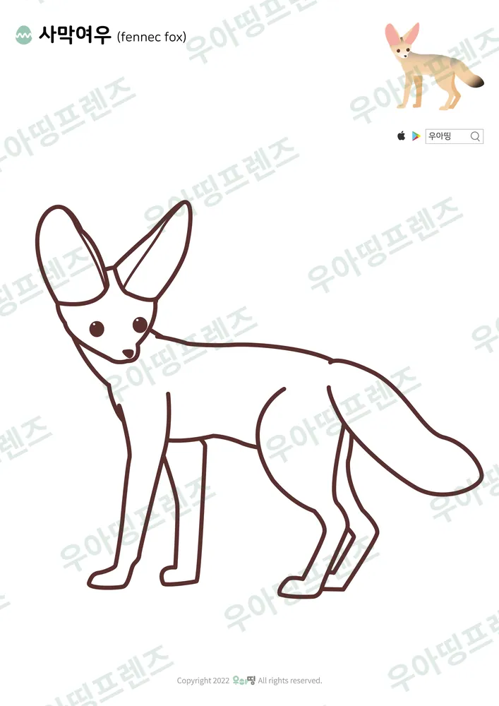 사막여우 색칠공부 도안 미리보기