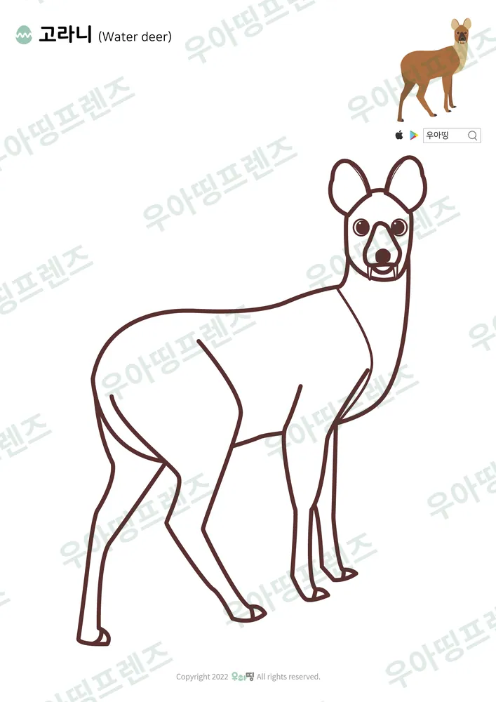 고라니 색칠공부 도안 미리보기