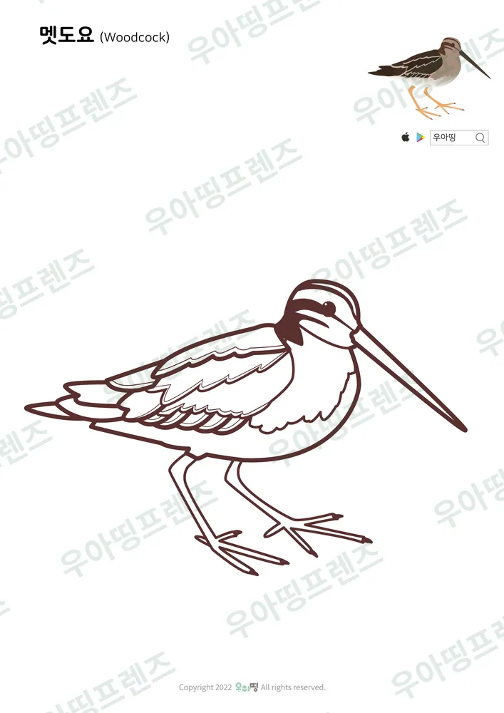 멧도요 색칠공부 도안 미리보기