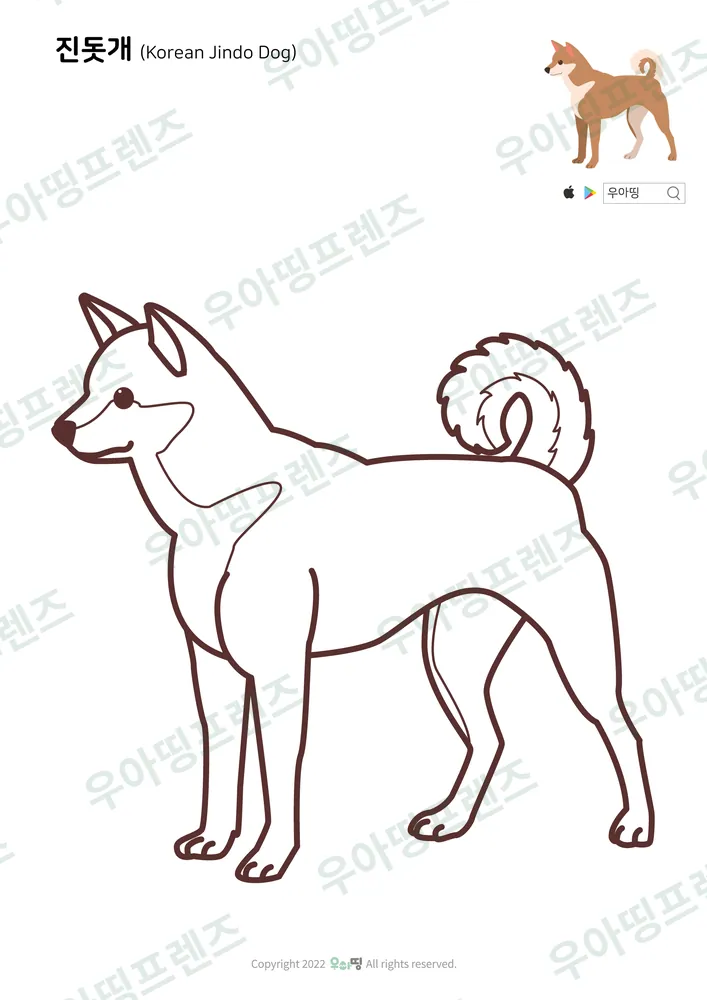 진돗개 색칠공부 도안 미리보기