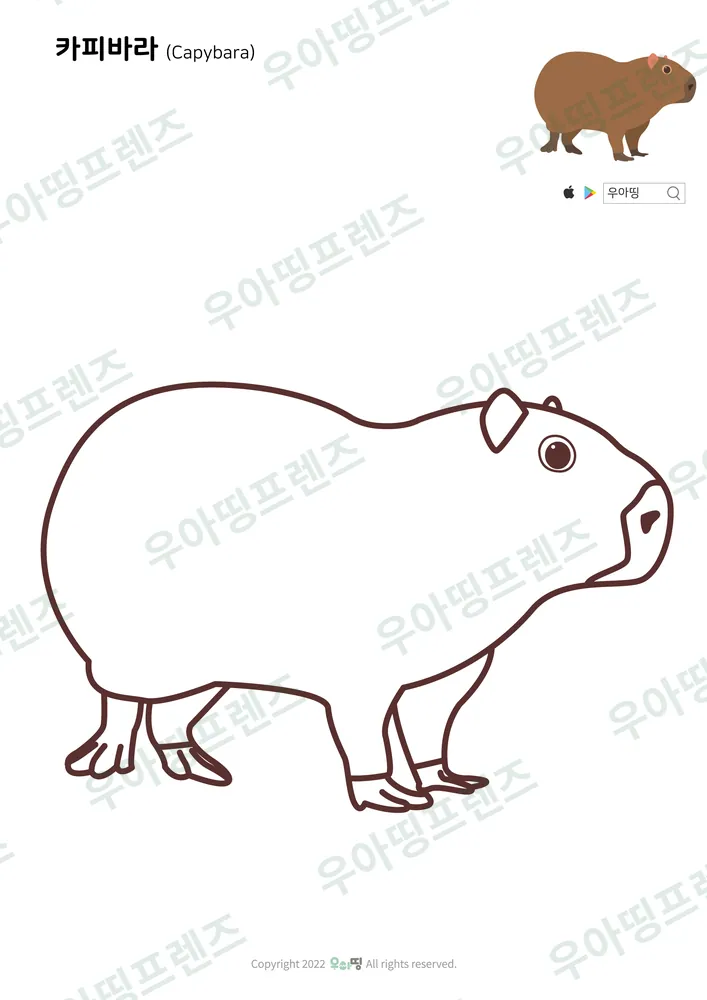 카피바라 색칠공부 미리보기