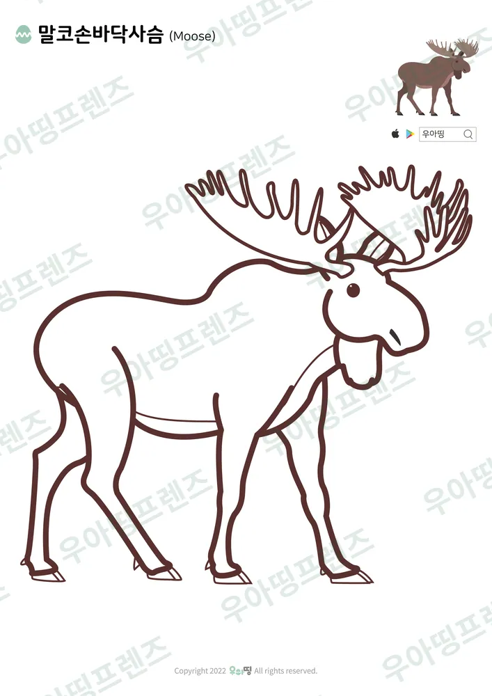 말코손바닥사슴 색칠공부 도안 미리보기