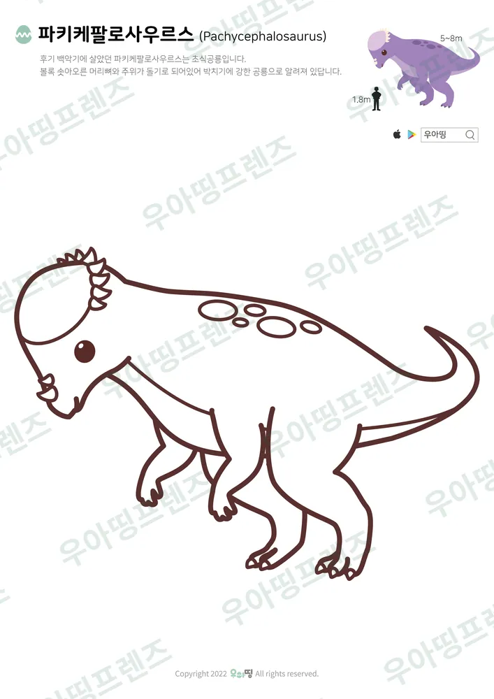 파키케팔로사우루스 색칠공부 미리보기