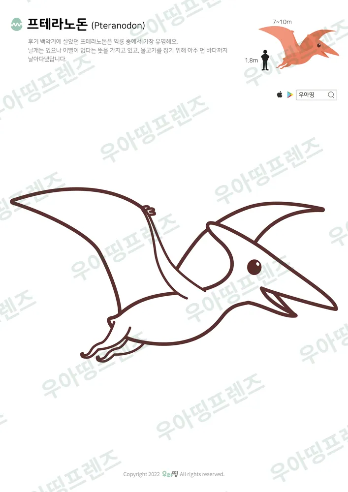 프테라노돈 색칠공부 도안 미리보기