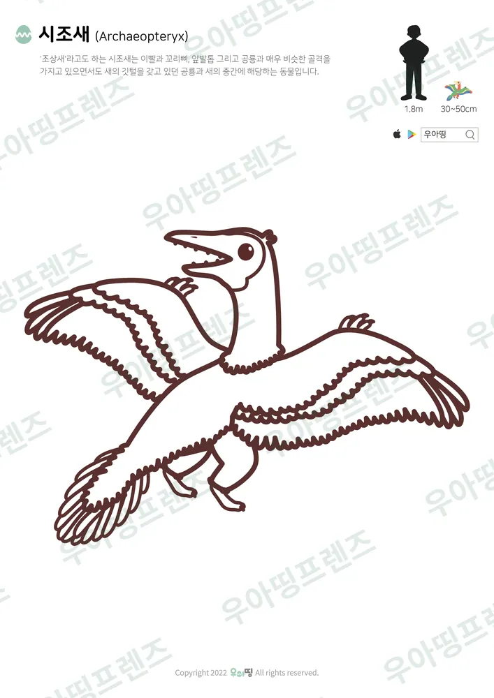 시조새 색칠공부 도안 미리보기
