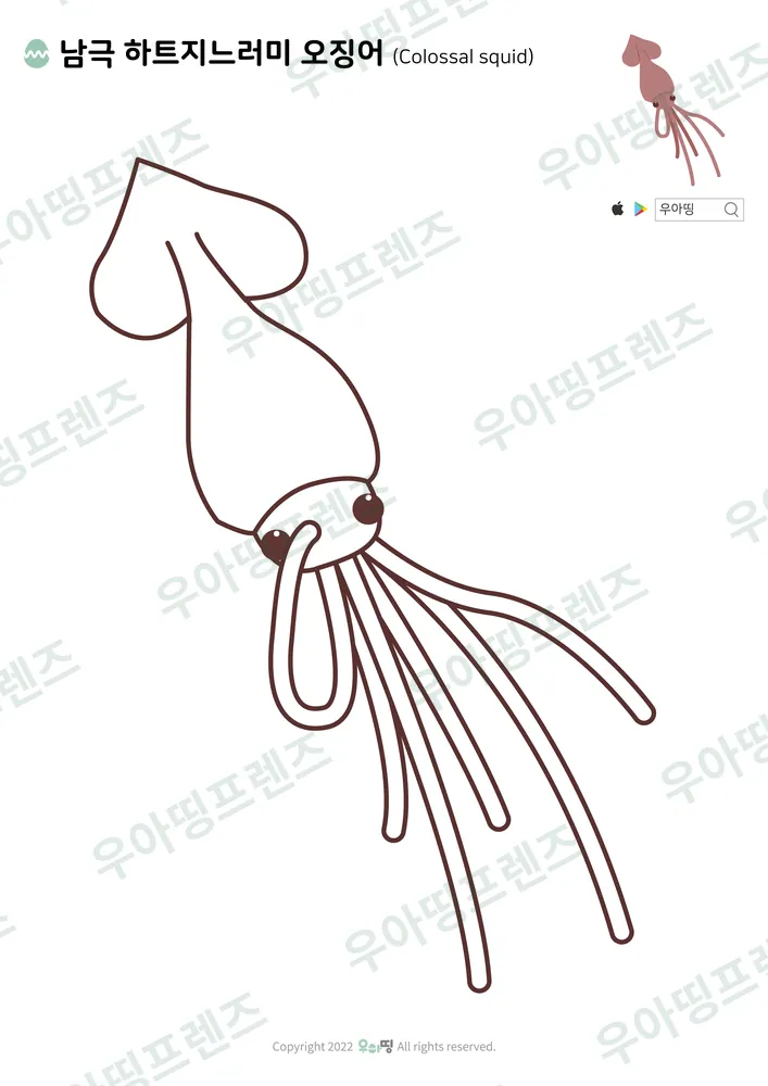 하트지느러미 오징어 색칠공부 도안 미리보기