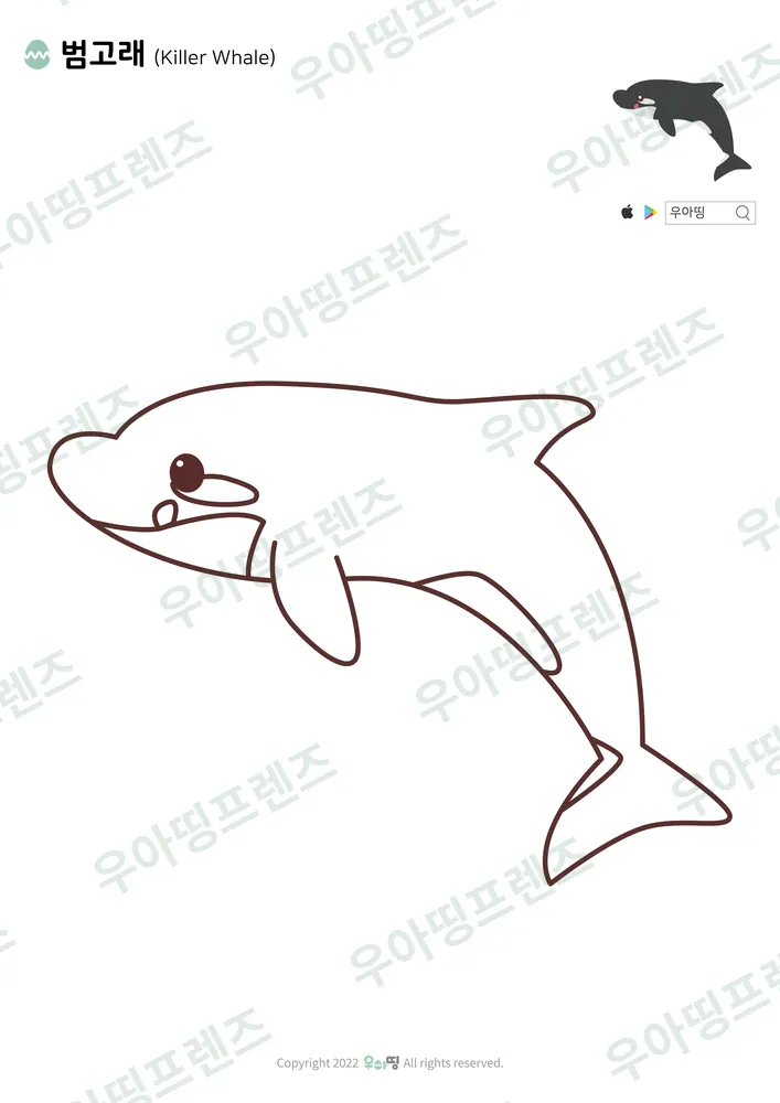 범고래 색칠공부 도안 미리보기