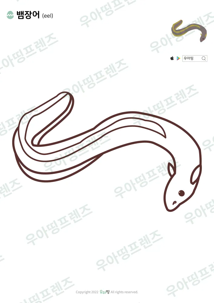 뱀장어 색칠공부 도안 미리보기