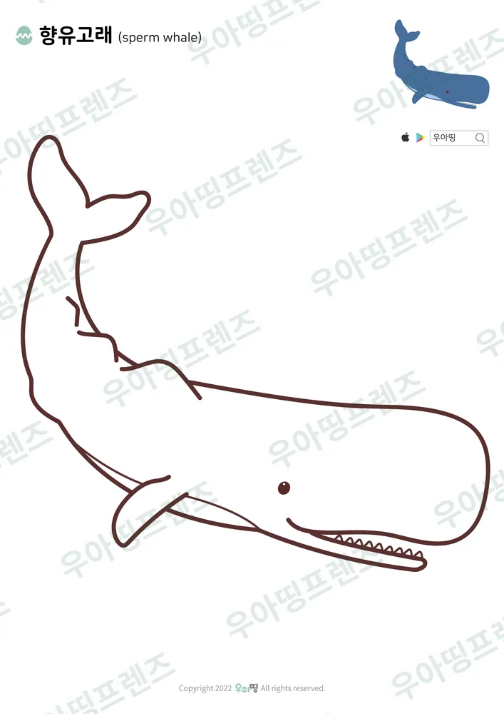 향유고래 색칠공부 미리보기