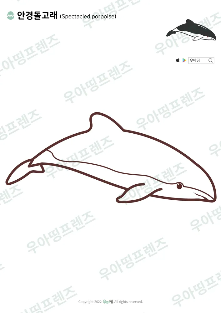 안경돌고래 색칠공부 도안 미리보기