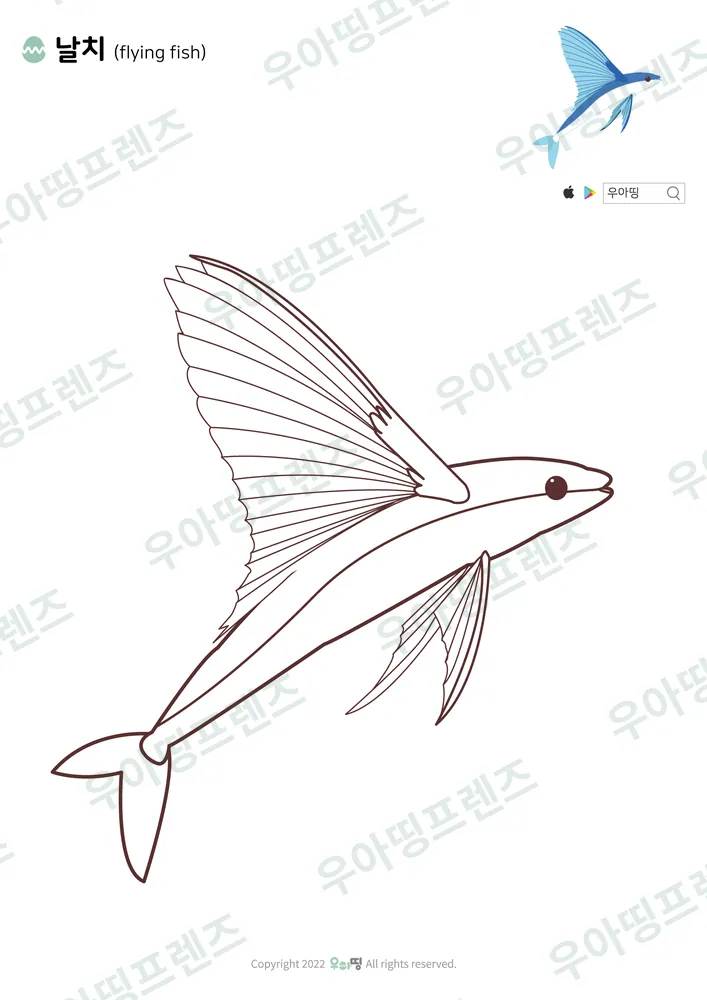 날치 색칠공부 도안 미리보기