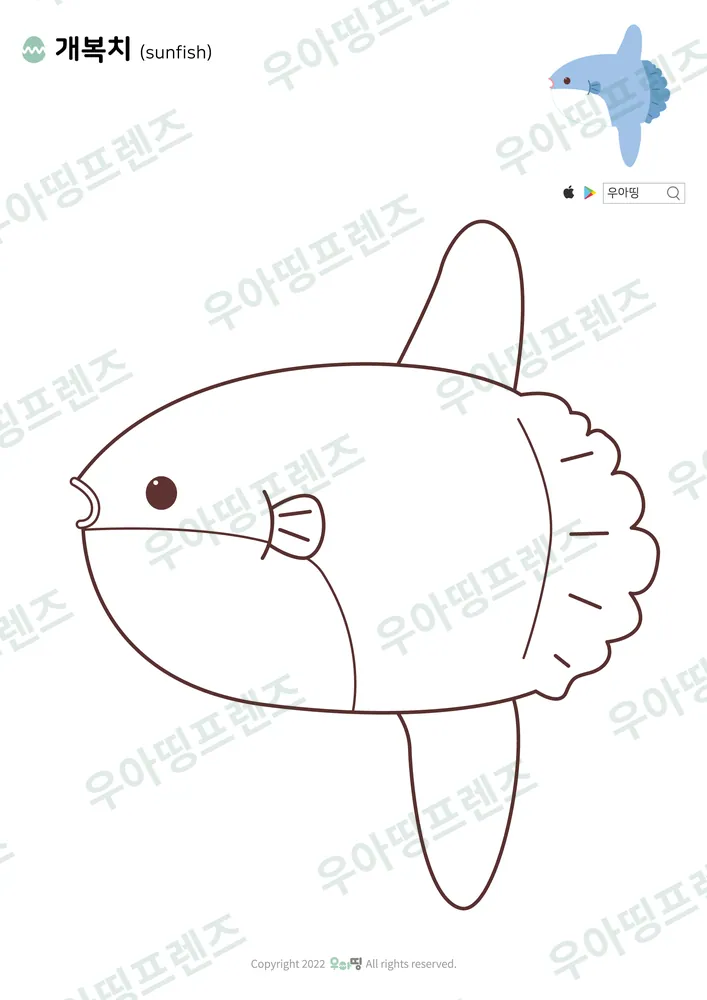 개복치 색칠공부 도안 미리보기