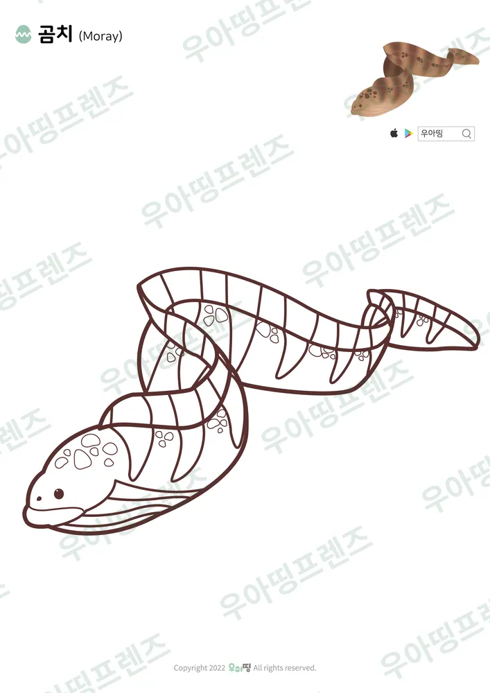 곰치 색칠공부 도안 미리보기