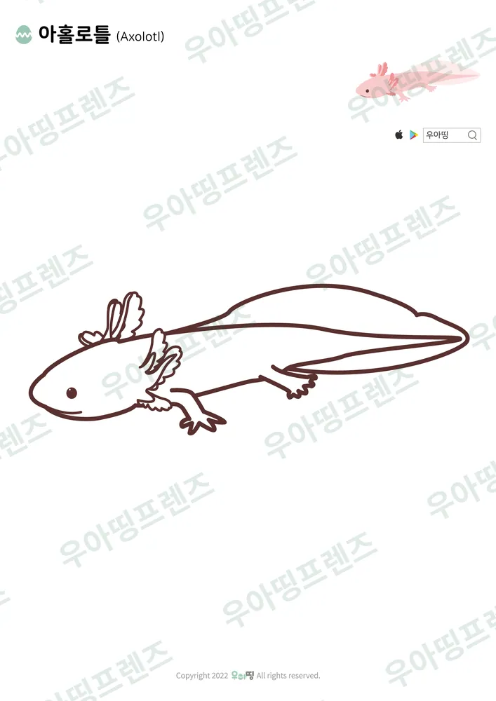 아홀로틀 색칠공부 미리보기