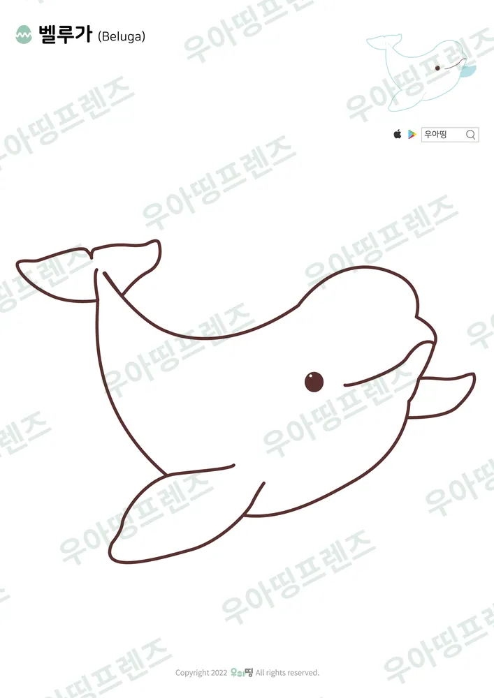 벨루가 색칠공부 미리보기