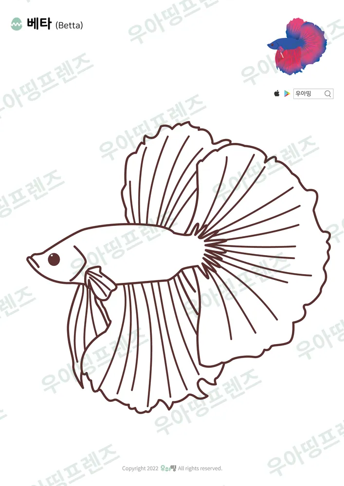 베타 색칠공부 도안 미리보기