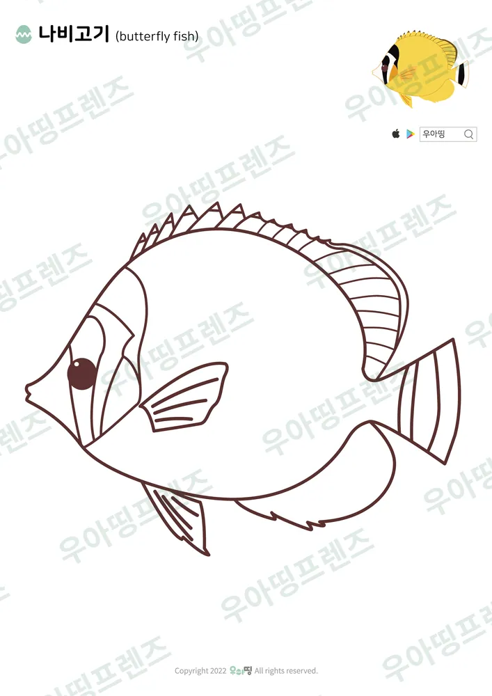 나비고기 색칠공부 미리보기