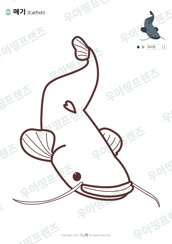 메기 색칠공부 도안 미리보기