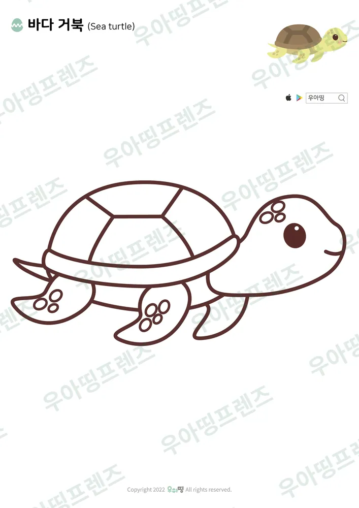 바다거북 색칠공부 도안 미리보기